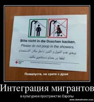 Мигрантам запрещается срать в душе