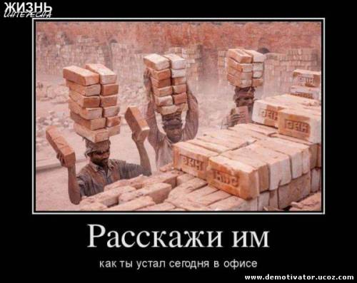 Кирпич и голова