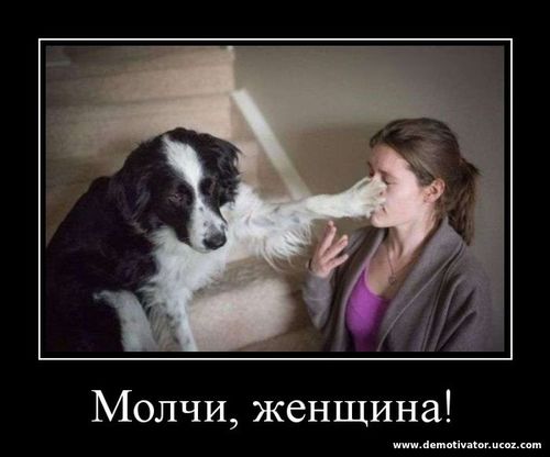 Собака затыкает рот женщине