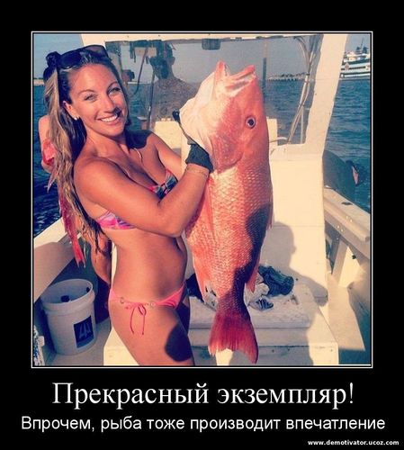 Эротический демотиватор Сексуальная рыбачка